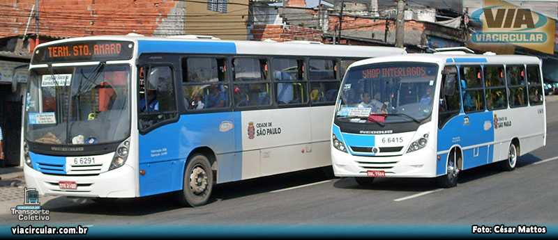 Ônibus e Microônibus
